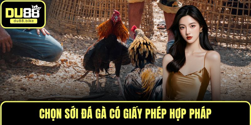 Chọn sới đá gà có giấy phép hợp pháp