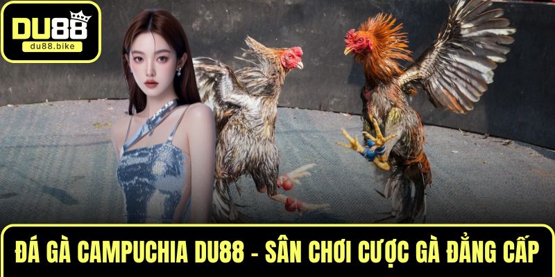 Đá gà Campuchia