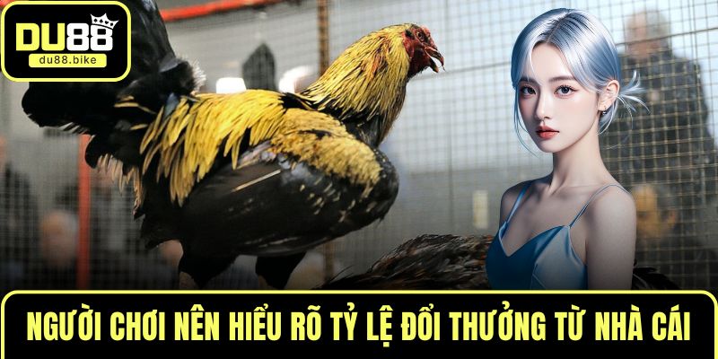 Người chơi nên hiểu rõ tỷ lệ đổi thưởng từ nhà cái