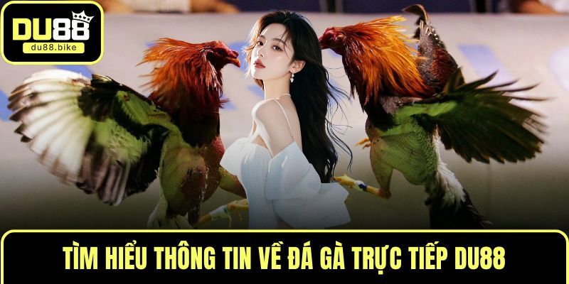 Tìm hiểu thông tin về đá gà trực tiếp DU88