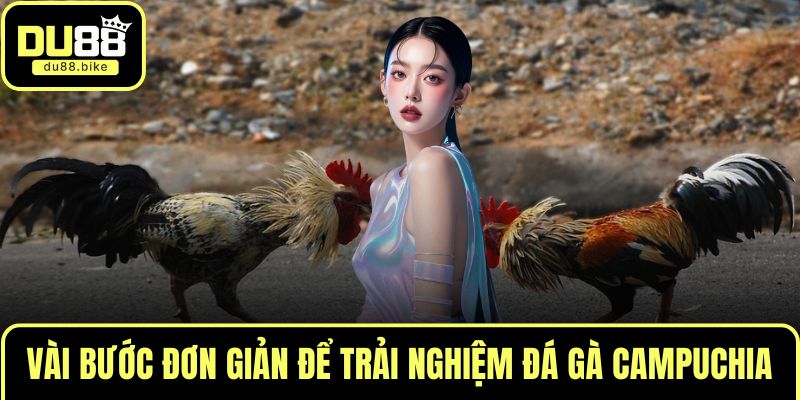 Vài bước đơn giản để trải nghiệm đá gà Campuchia